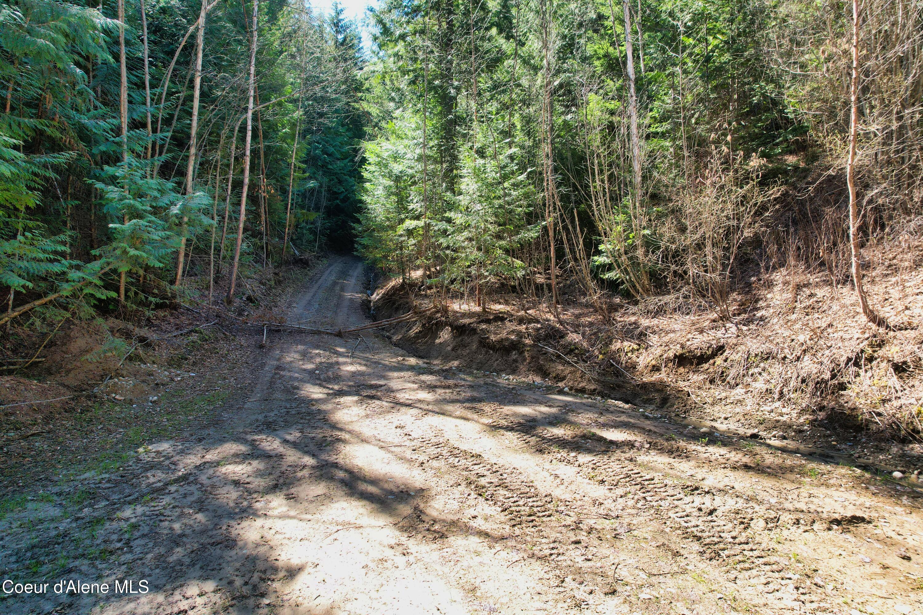 Image 2: DJI_0884
