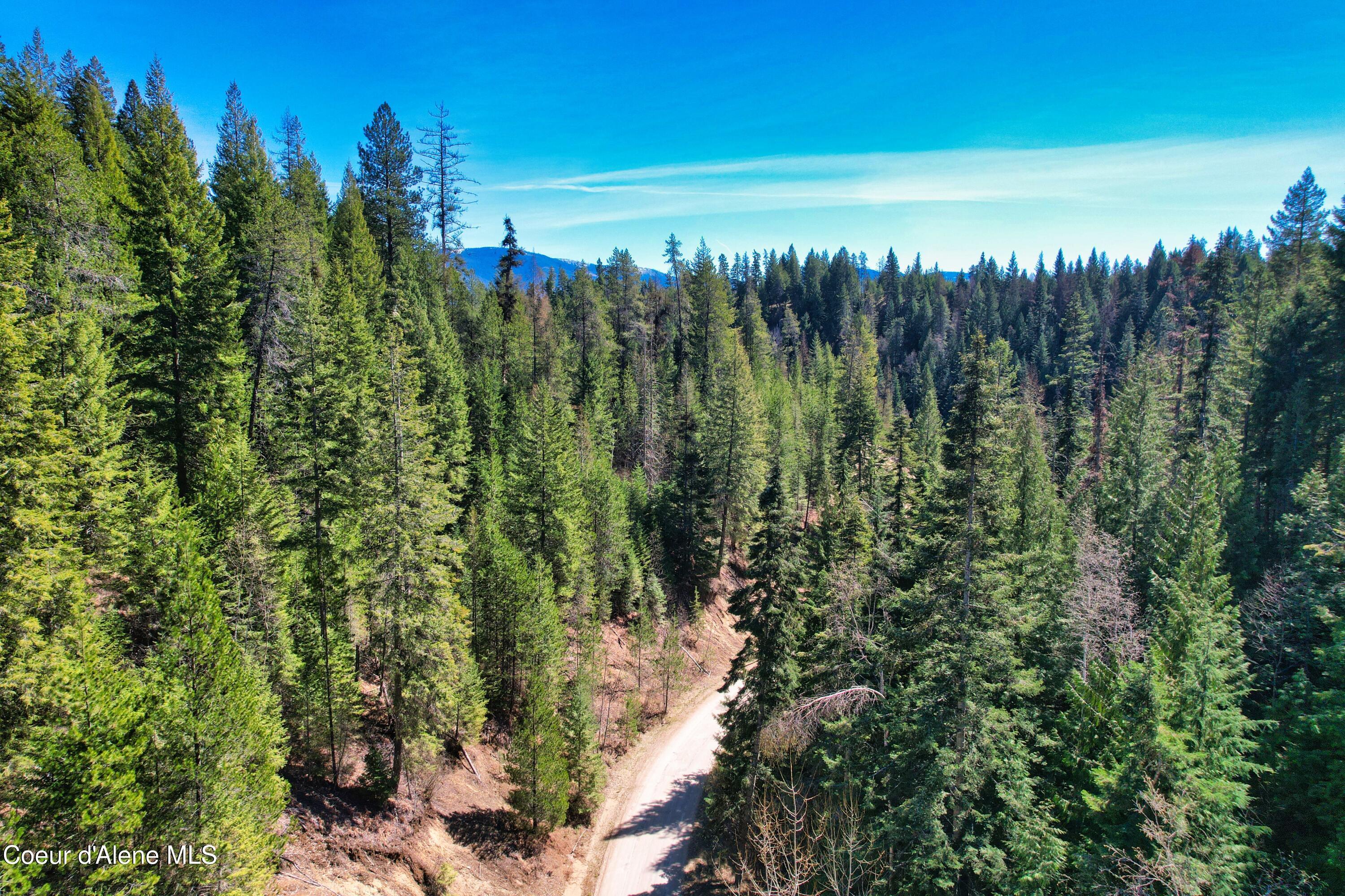 Image 3: DJI_0885