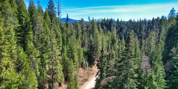 Image 3: DJI_0885