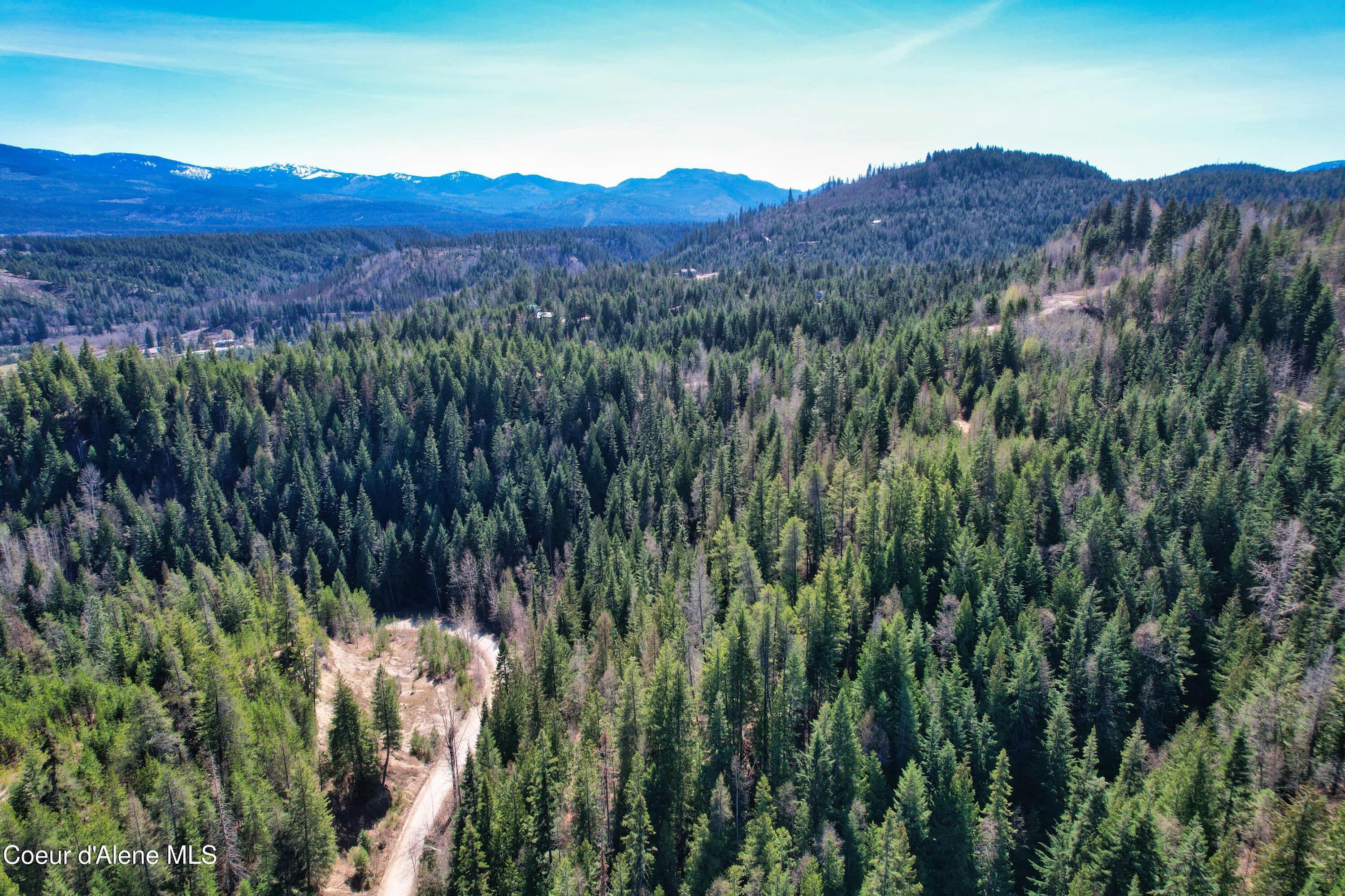 Image 4: DJI_0886