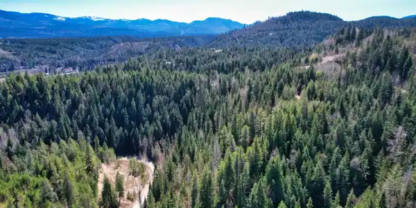 Image 4: DJI_0886