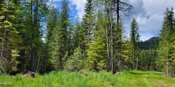 NNA Pup Paw Trail - North