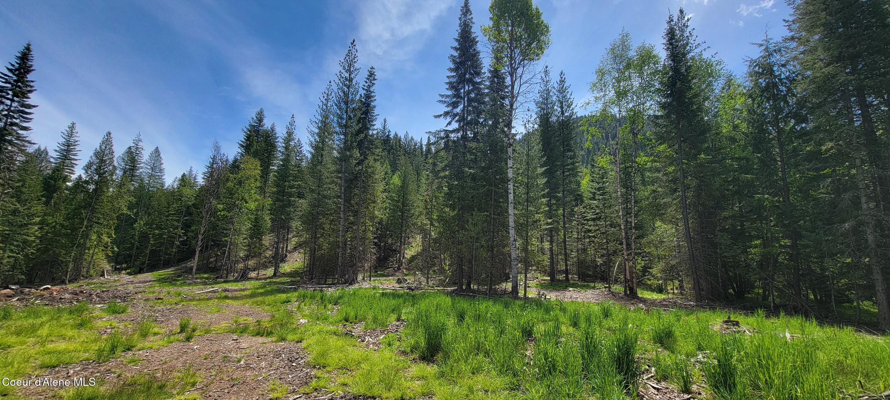 Image 3: 20250523_114853