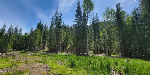 Image 3: 20250523_114853
