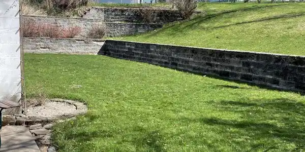 Image 4: Yard