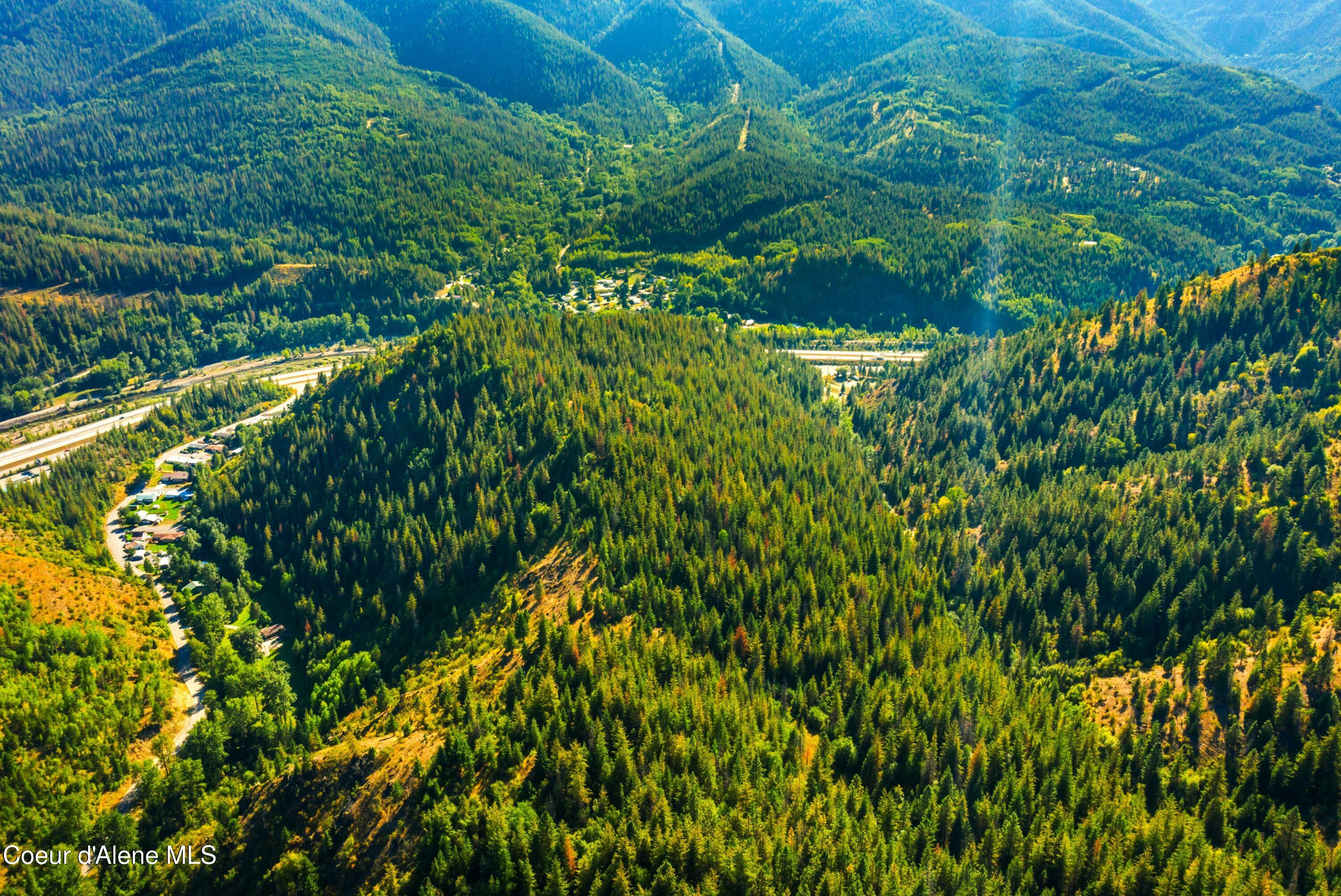 Image 1: 122 Acres in Silver Valley
