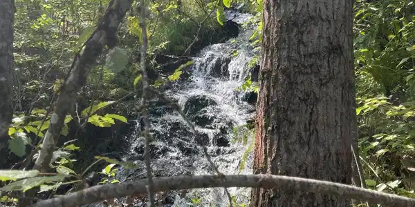 Image 4: Bronson Creek