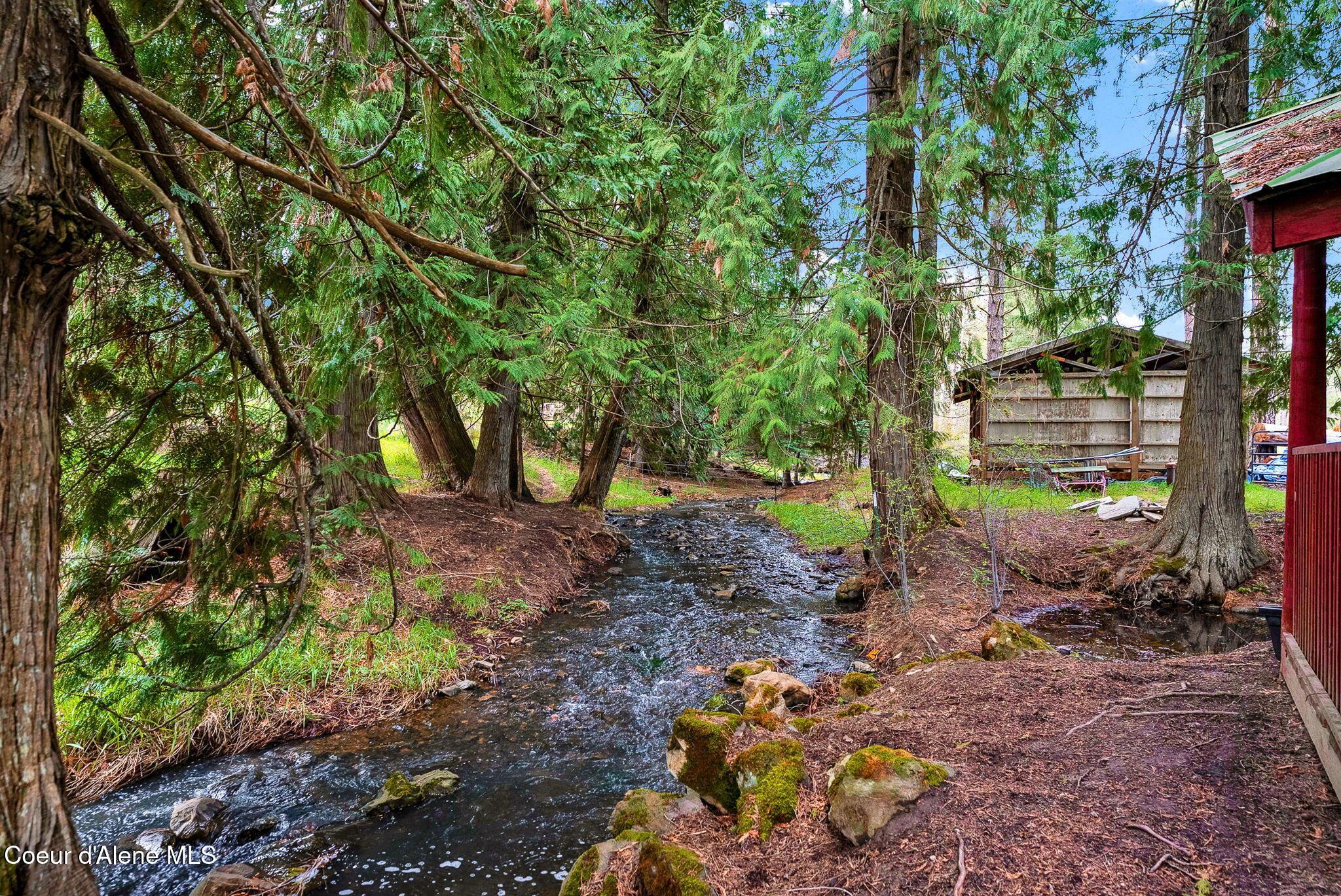 Image 4: A Creek in Your Backyard
