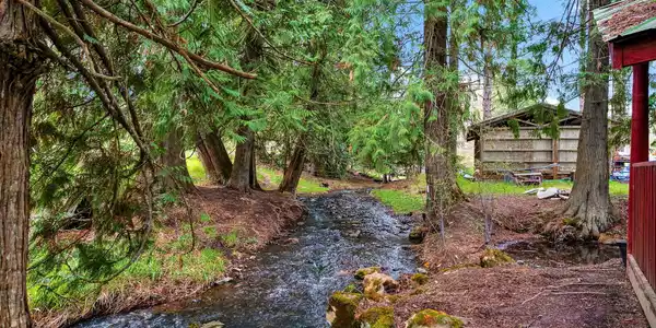 Image 4: A Creek in Your Backyard
