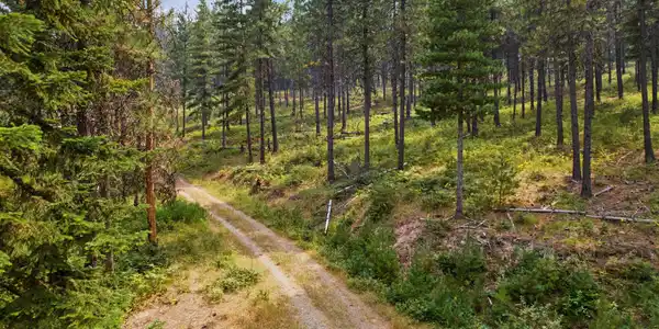 Image 3: 012-nkaKellyGulchRoad-Pinehurst-ID-83850