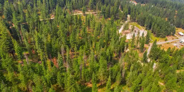 Image 4: 011-nkaKellyGulchRoad-Pinehurst-ID-83850