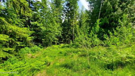 NKA Baum Rd.