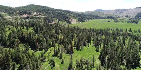 Image 4: 5