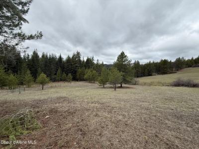 Parcel 200 Owl Creek Rd. Ln