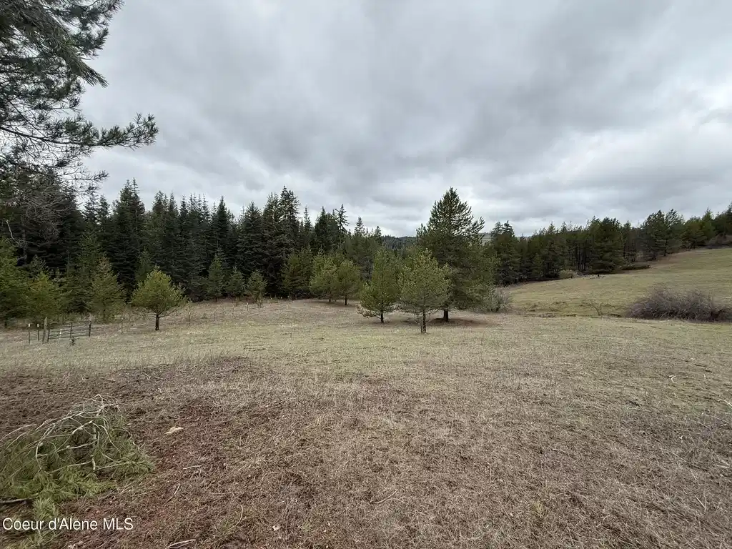 Image 1: Land