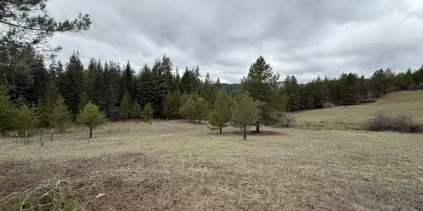 Parcel 200 Owl Creek Rd. Ln