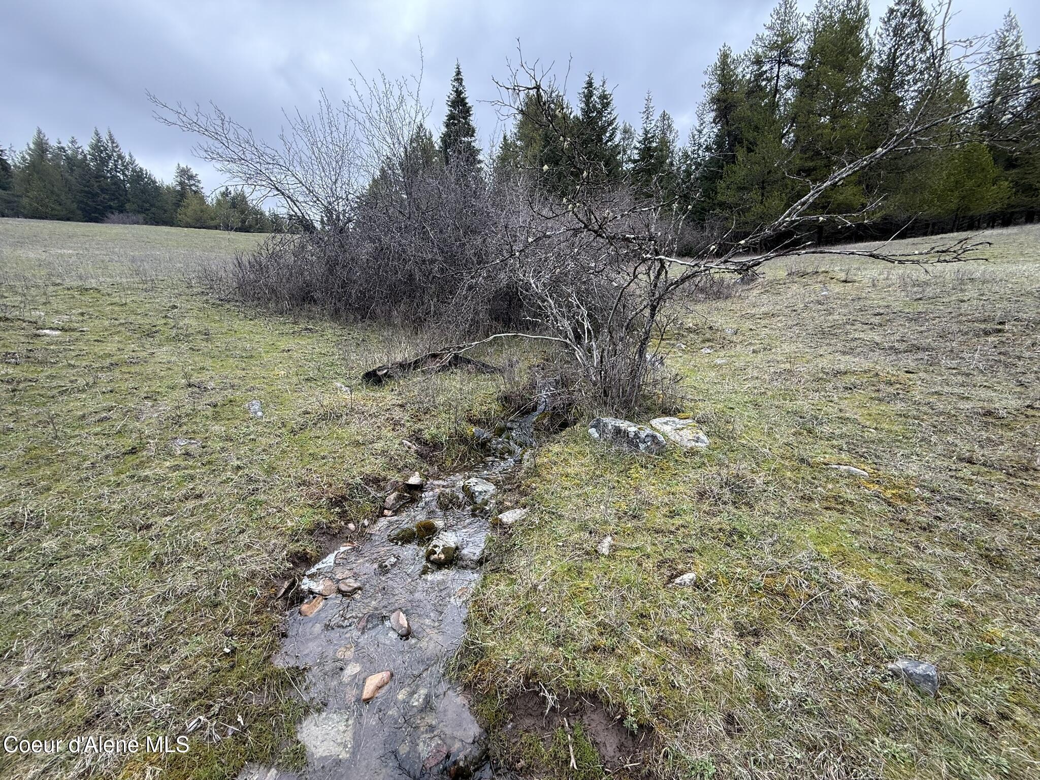 Image 3: IMG_7786