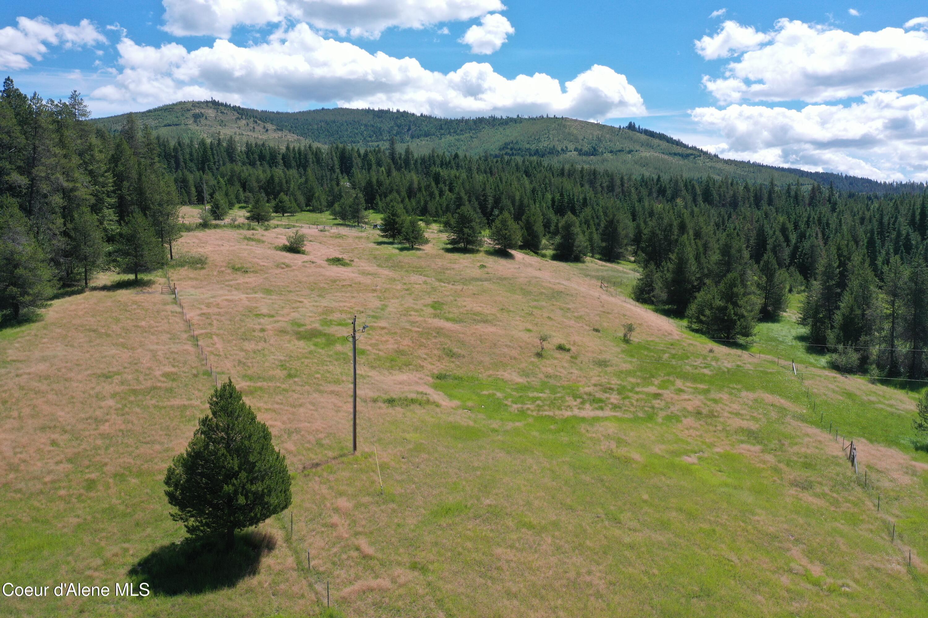 Image 2: DJI_0769