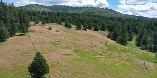 Image 2: DJI_0769