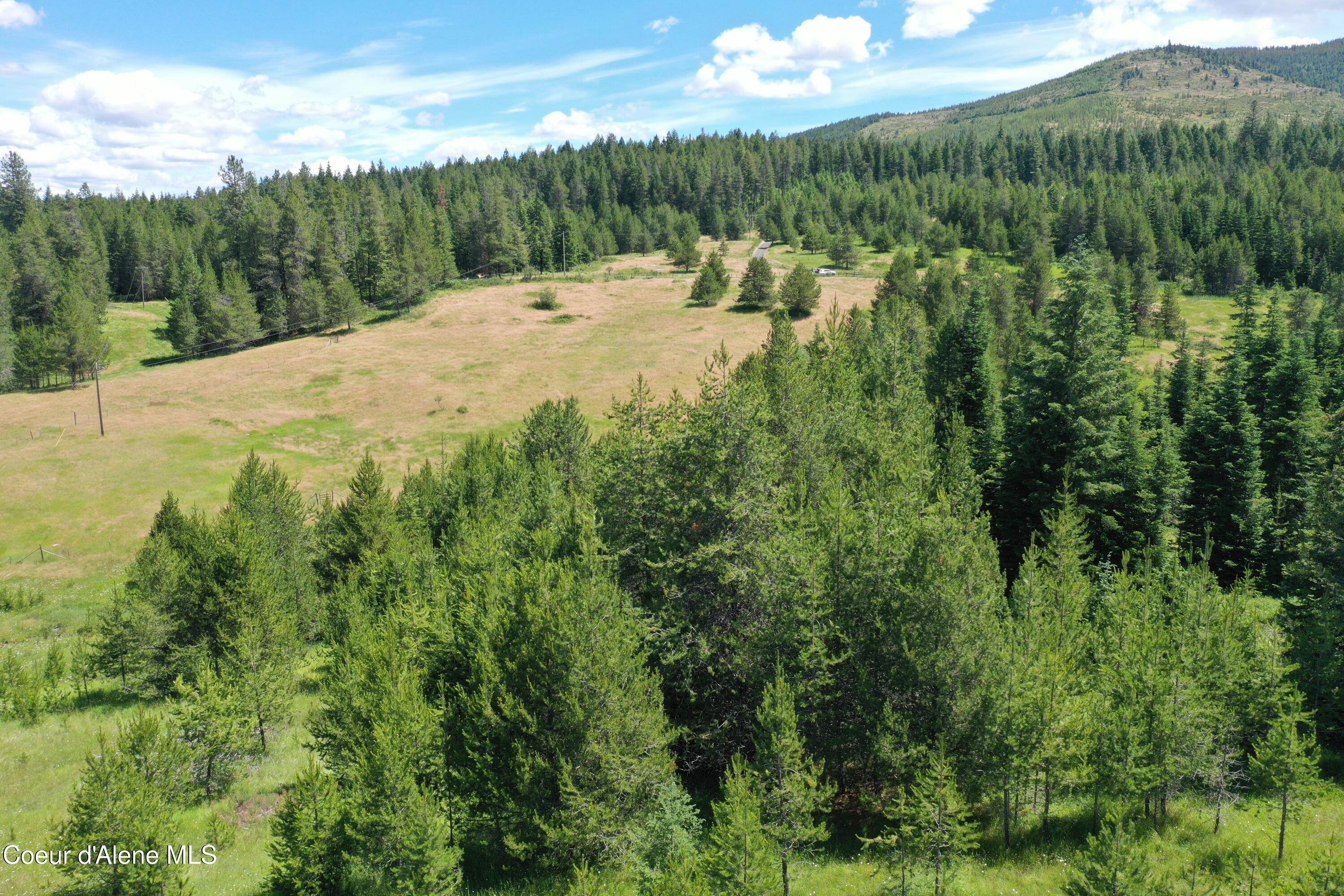Image 4: DJI_0771