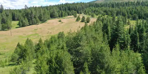 Image 4: DJI_0771