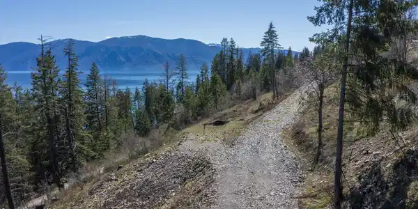Image 3: DJI_0150