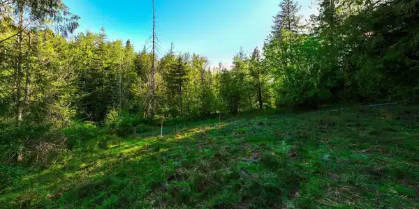 Image 4: 3.1
