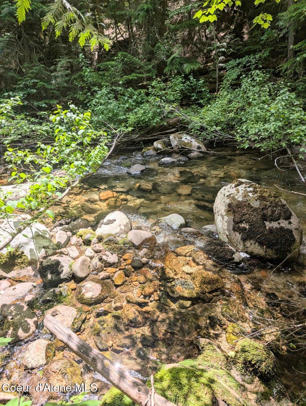 Image 4: Rushing Fall creek