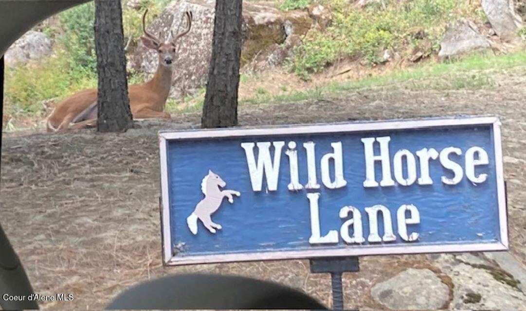 Image 1: casual visitor