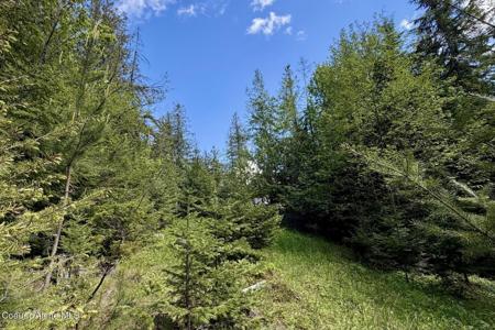 NNA Lot 4 Silver Reef Rd