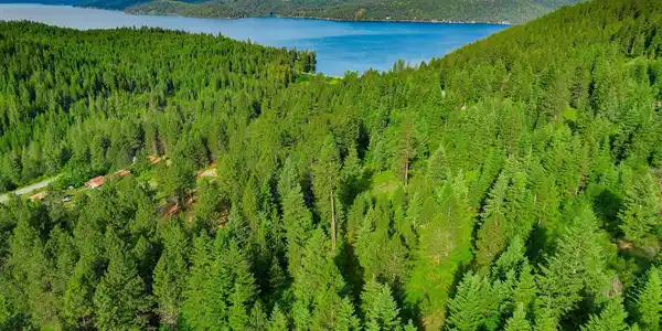 Image 3: 5-web-or-mls-Aerial-Drone-21