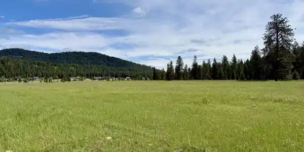 Image 3: Big sky views in all directions.