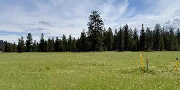 Image 4: Level, open acreage.