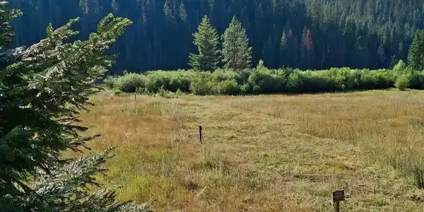 Image 2: 2