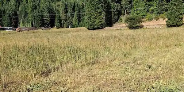 Image 4: 4