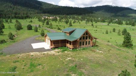 293 VINE MAPLE