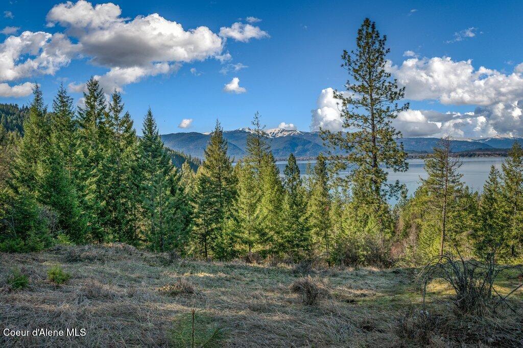 Image 2: 2.7 Acres