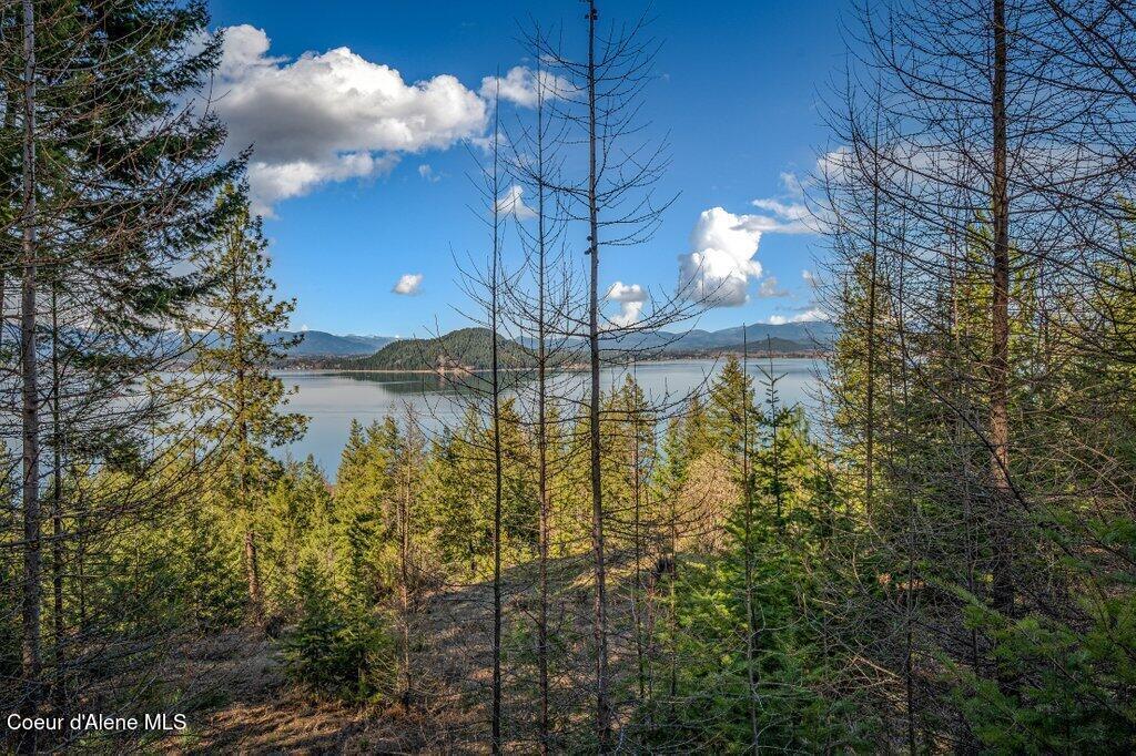 Image 3: Lake Views