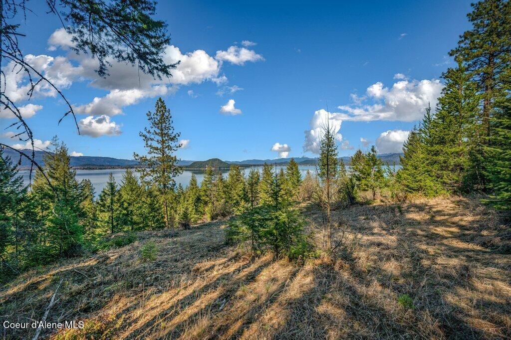 Image 4: Lake Views