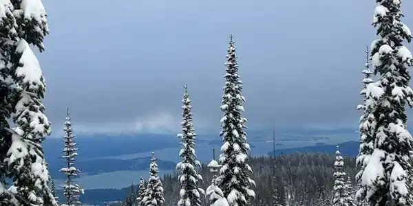 Image 2: 20260110004237988519000000-o
