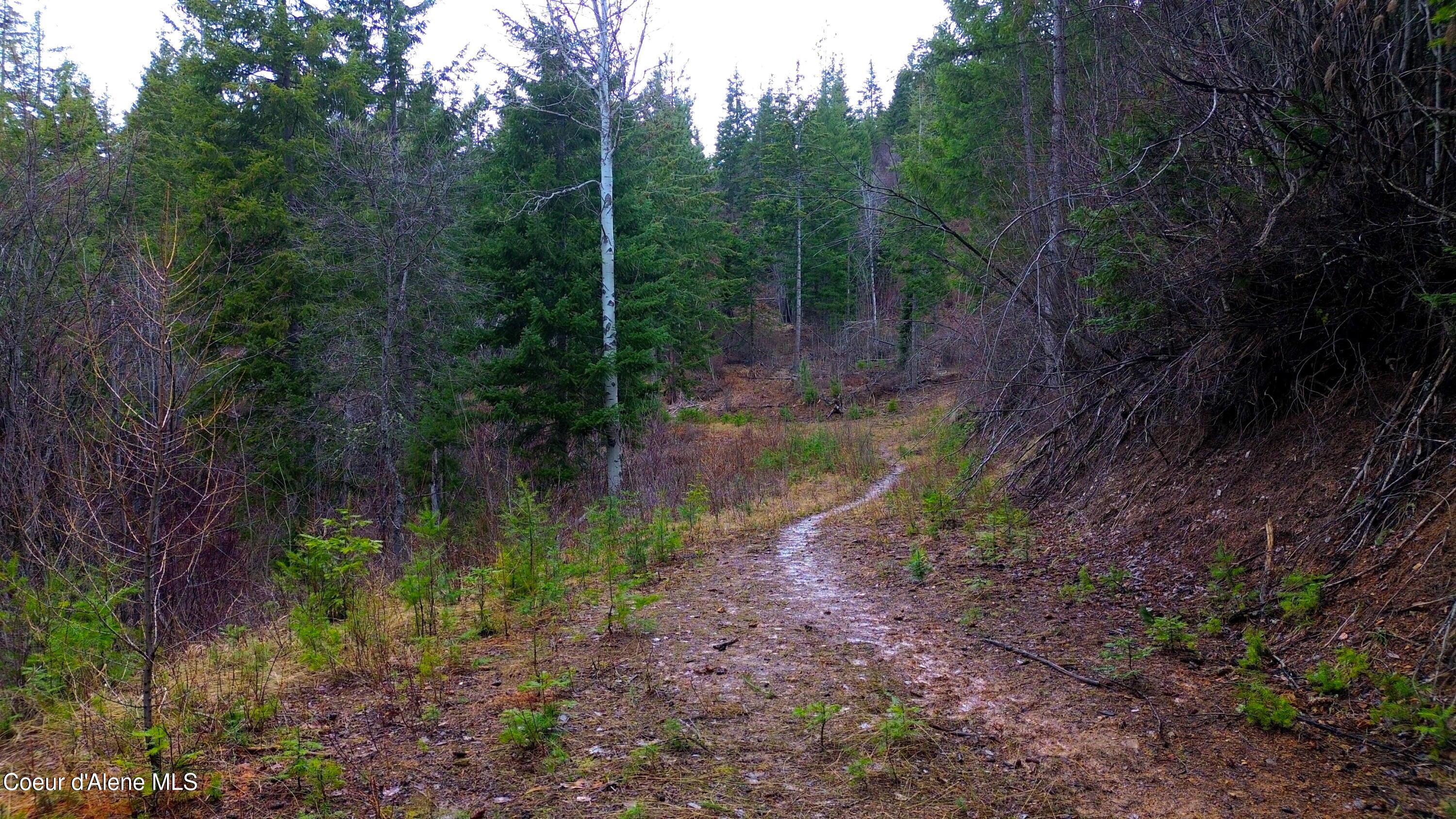 Image 2: 2