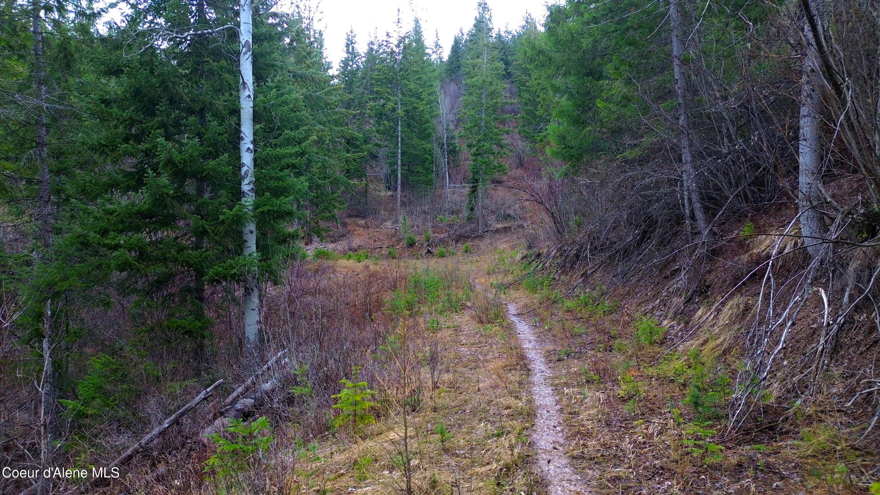 Image 3: 3