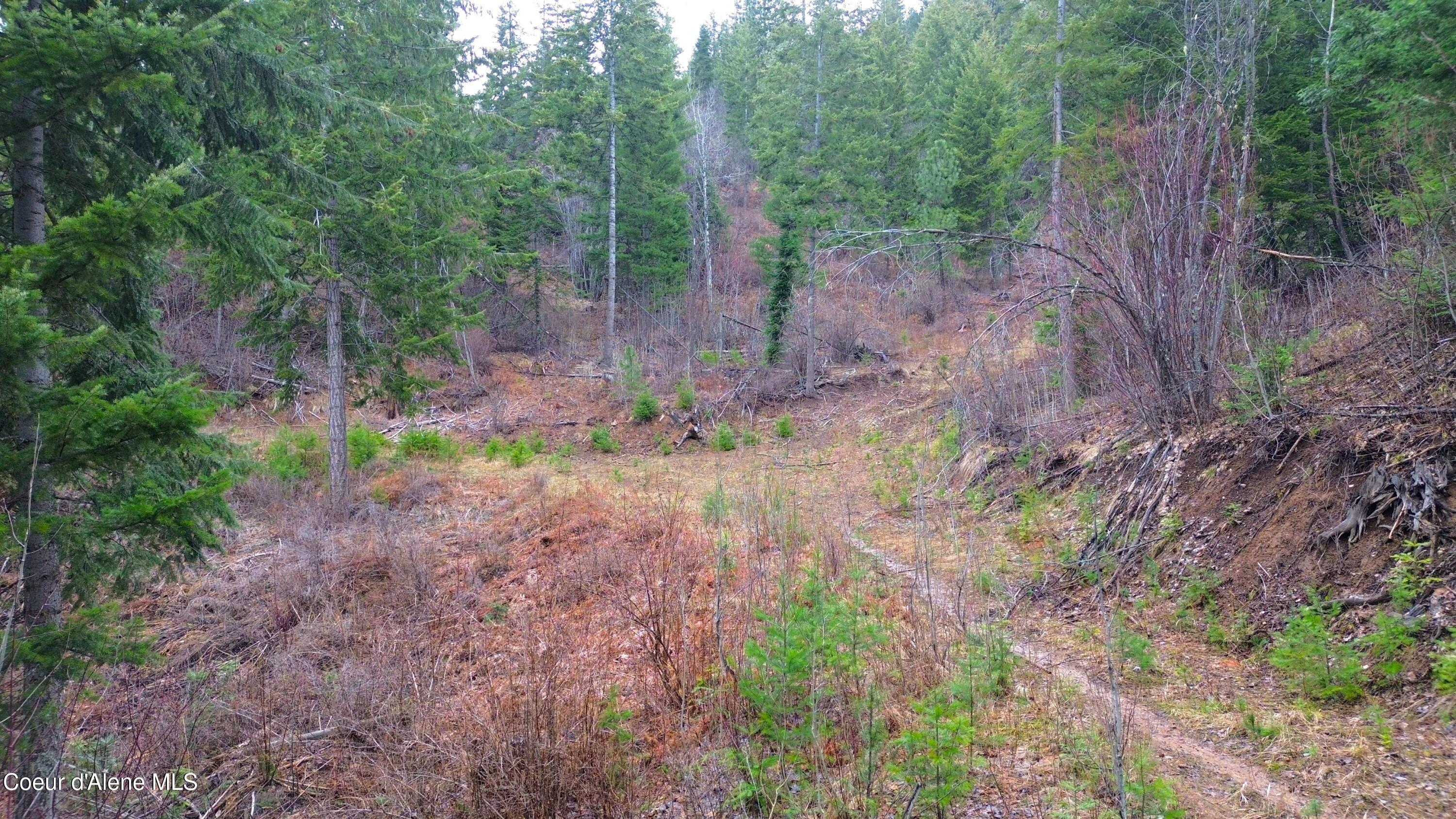 Image 4: 4
