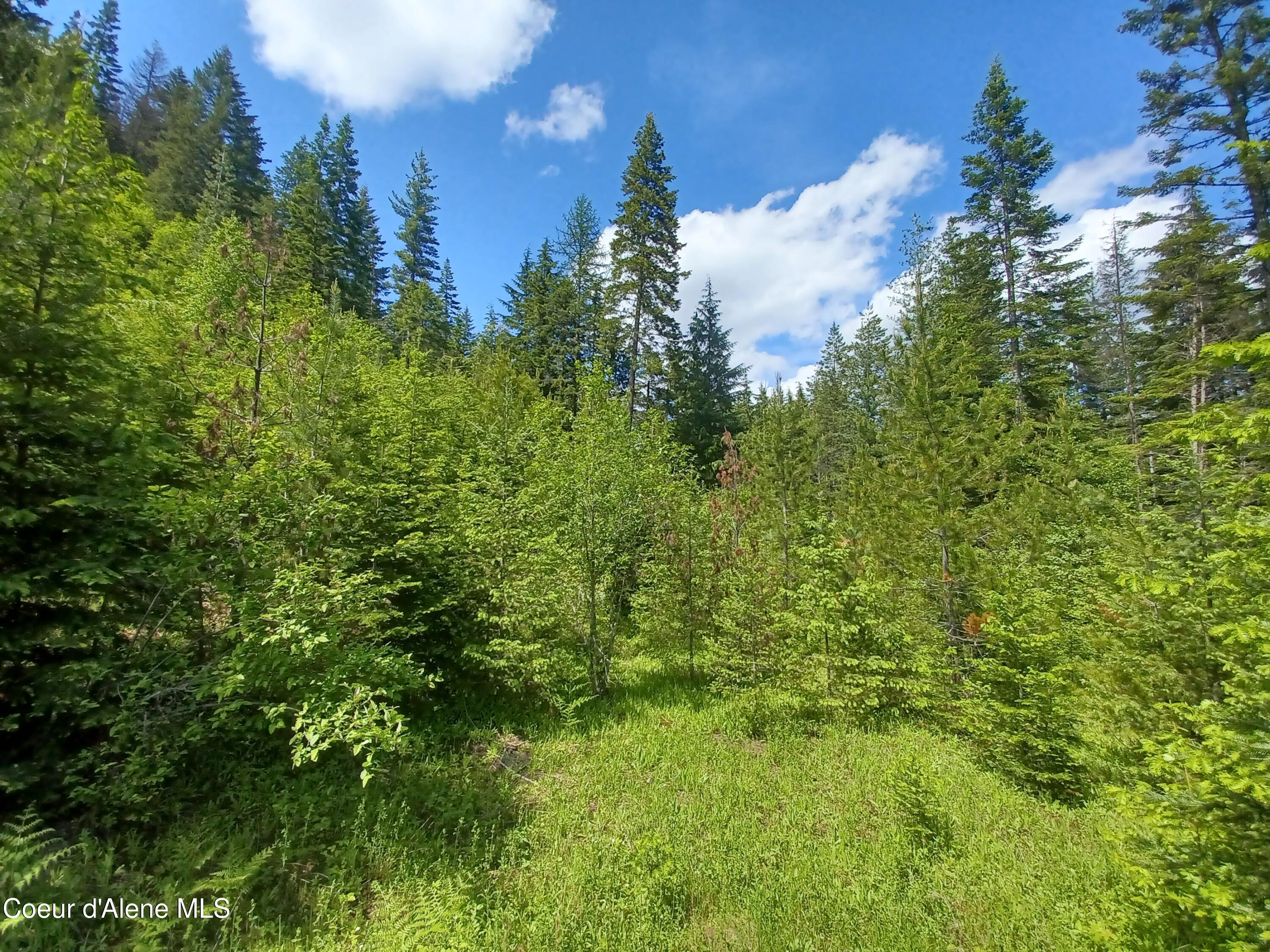 Image 1: Land