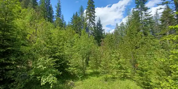 127 Coyote Trail
