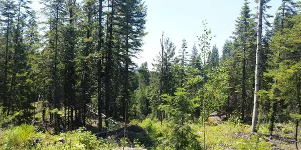 Image 3: IMG_6788