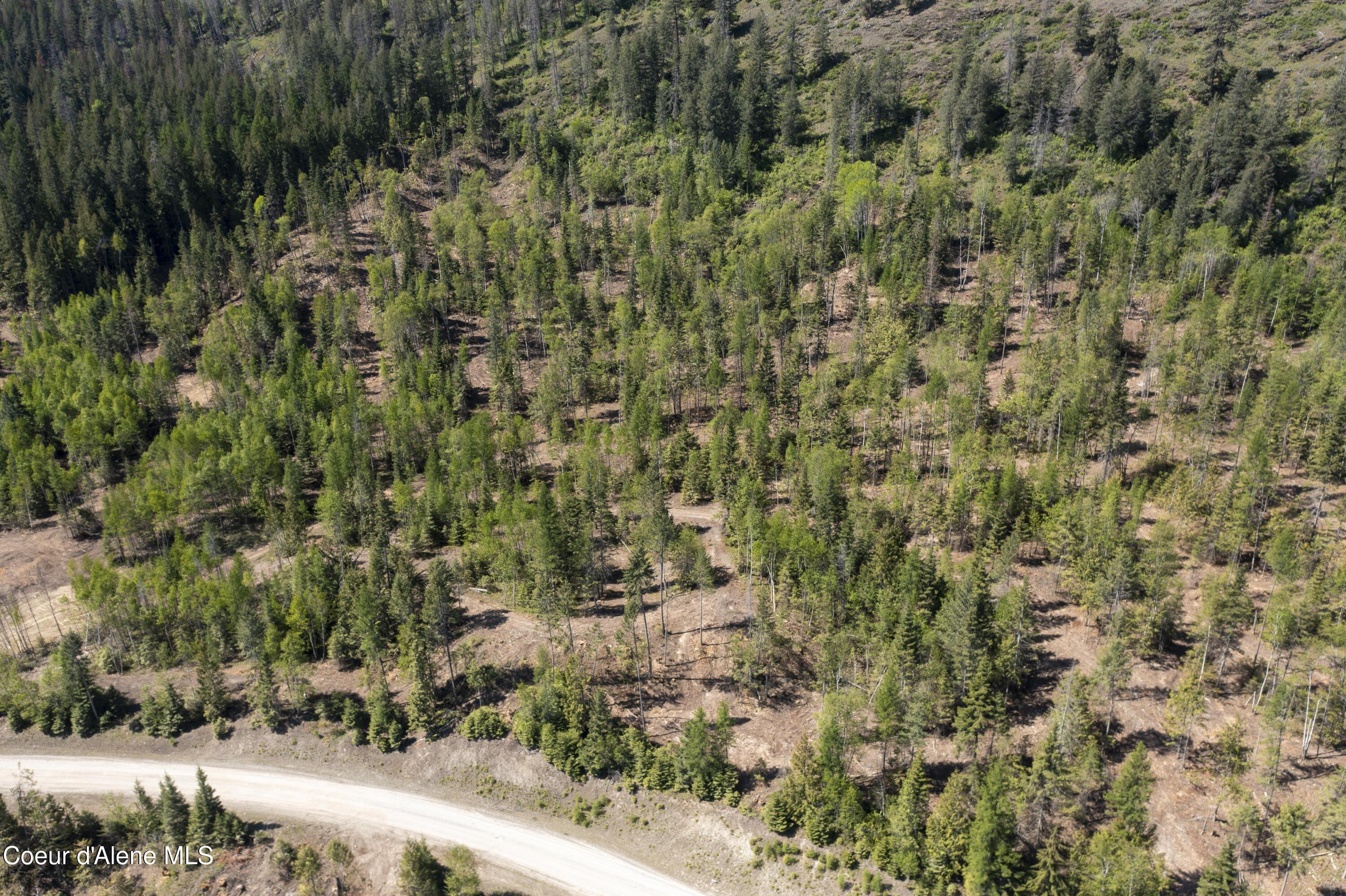 Image 4: Lot 6 (5 of 6)