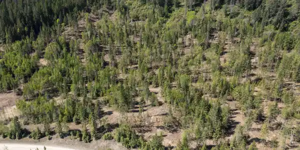 Image 4: Lot 6 (5 of 6)
