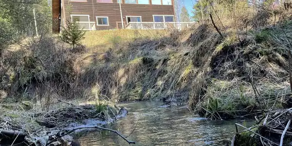 Image 4: Creek front