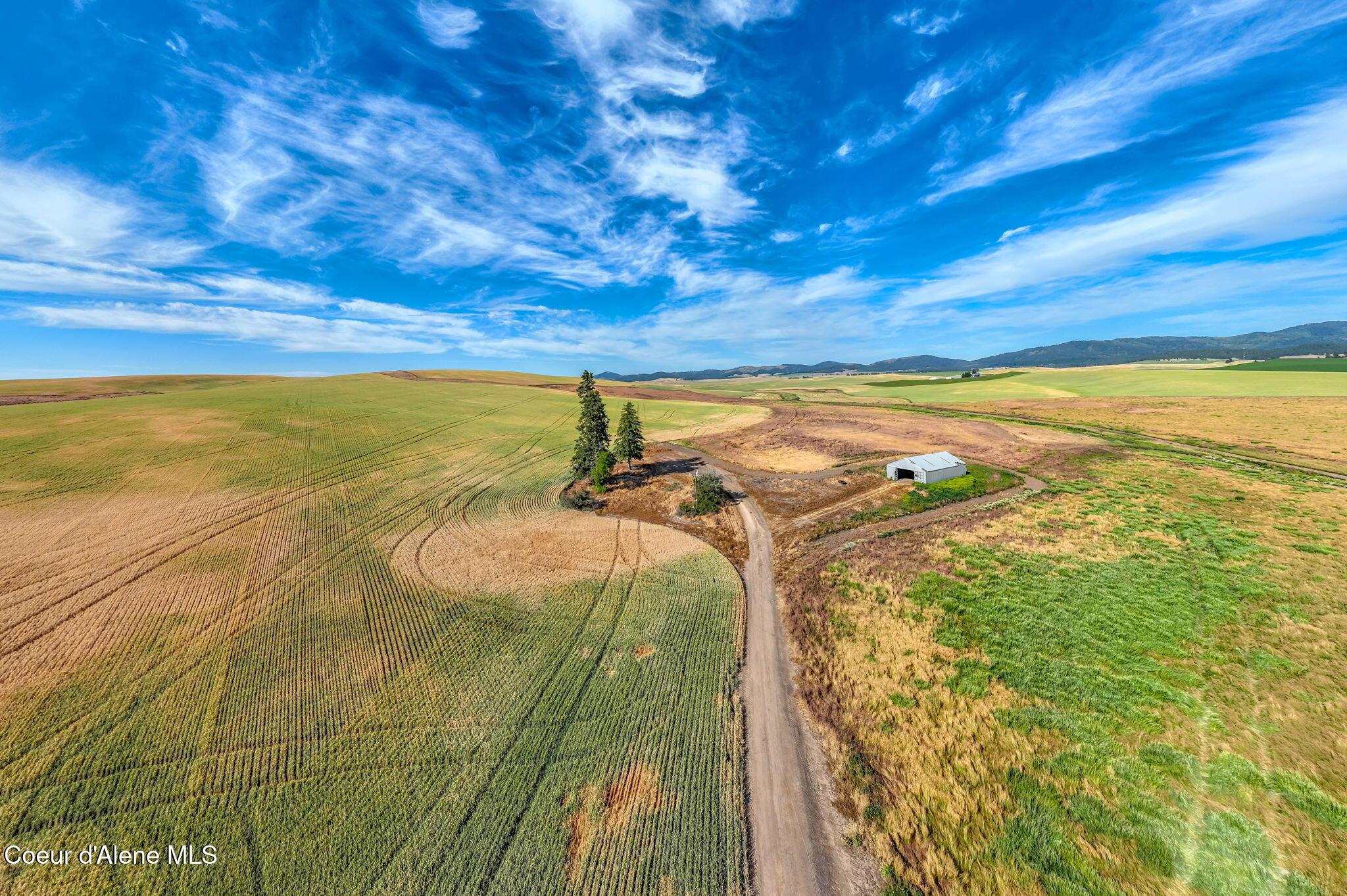Image 4: 10 Acres, Power, Road, Well, Septic